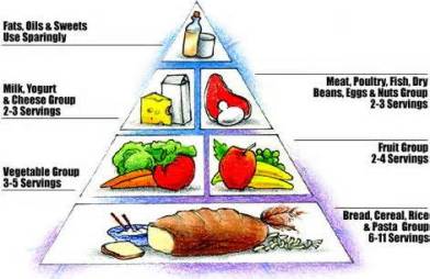 food pyramid 2